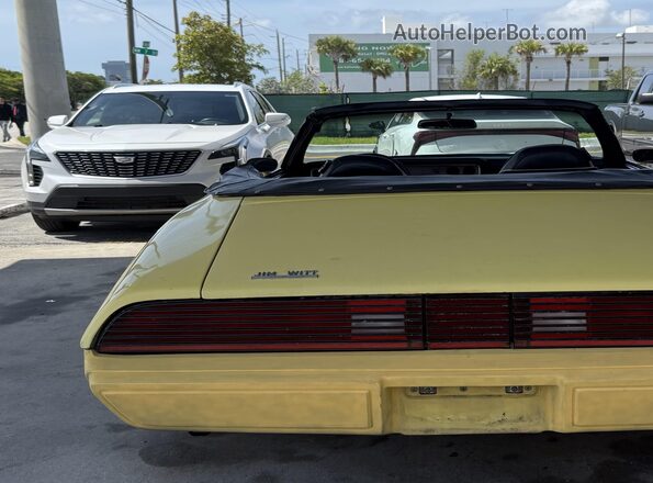 2T87Y9N192524     1979 PONTIAC FIREBIRD Желтый Вид задней части салона