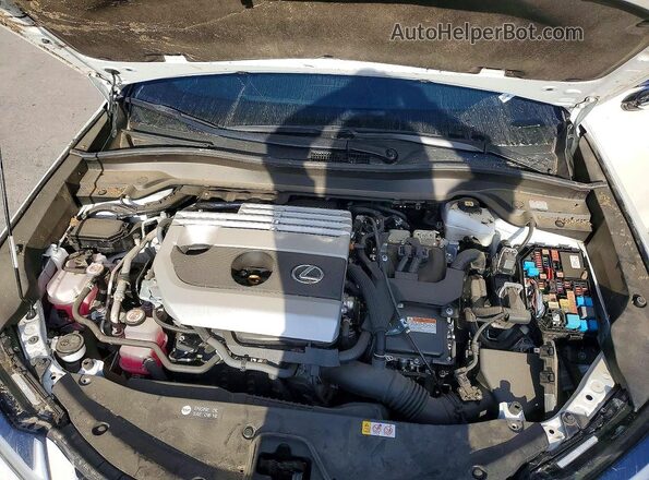JTHX6JBH5R2191078 2024 LEXUS UX Белый Вид наклейки с VIN-кодом