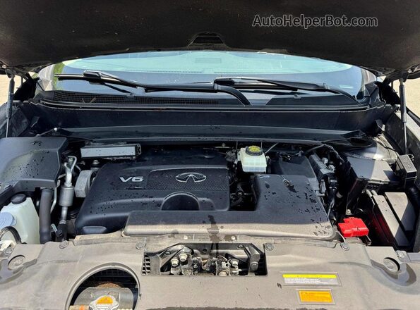 5N1DL0MM9KC565978 2019 INFINITI QX60 Black Vista interior trasera