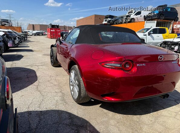 JM1NDAC79R0607083 2024 MAZDA MX-5 Maroon 