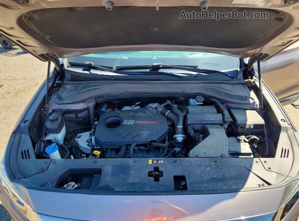 5NMS53AA1LH206810 2020 HYUNDAI SANTA FE Gray Vista de la etiqueta del VIN