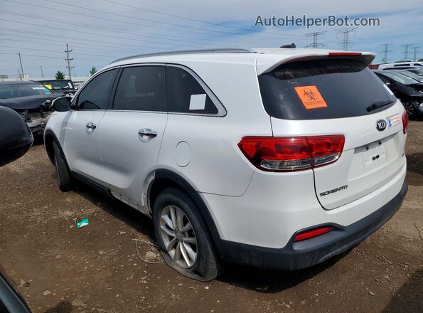 5XYPG4A32HG239825 2017 KIA SORENTO White 