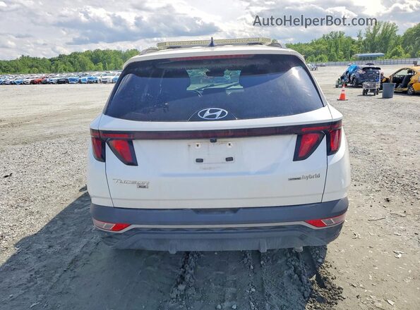 KM8JBCD18RU156520 2024 HYUNDAI TUCSON White 