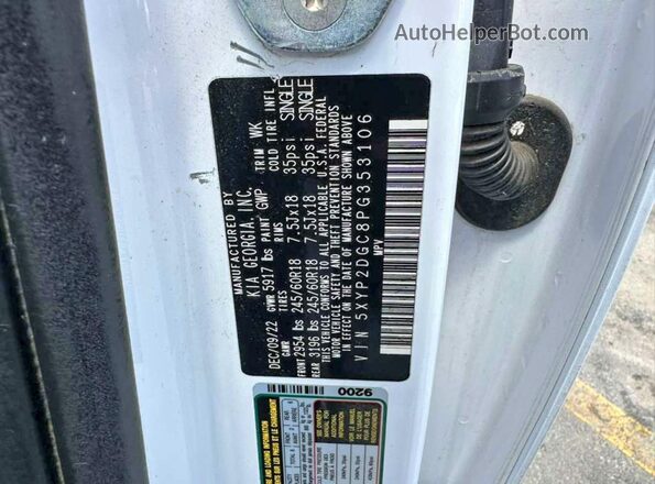 5XYP2DGC8PG353106 2023 KIA TELLURIDE Белый Вид задней части салона