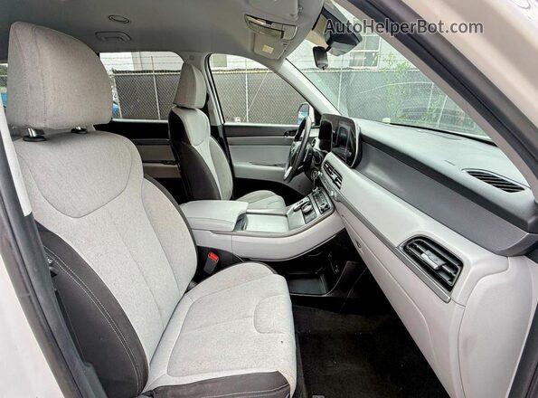 KM8R14HE6LU037087 2020 HYUNDAI PALISADE White 