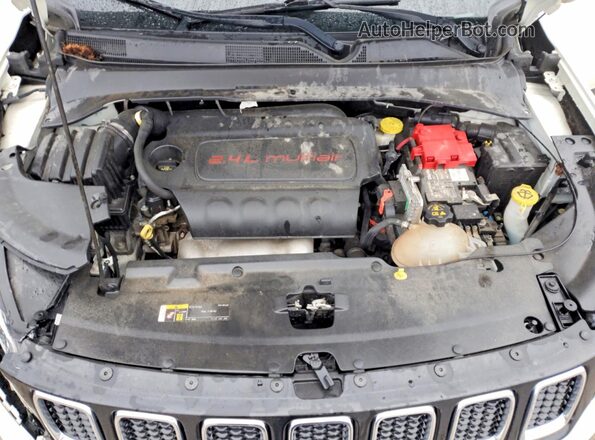 3C4NJCCB1LT187516 2020 JEEP COMPASS Белый 