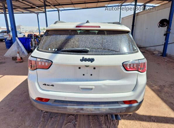 3C4NJDAB6KT807087 2019 JEEP COMPASS Белый Вид сзади