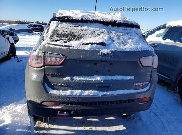 3C4NJDDB0MT602444 2021 JEEP COMPASS Gray უკანა ხედი