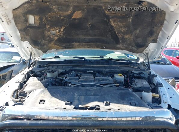 3C6UR5DL4GG229920 2016 RAM 2500 Белый Вид сзади