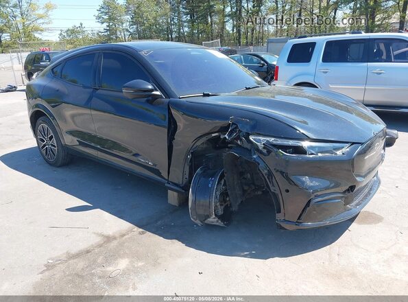 3FMTK3SU7RMA13696 2024 FORD MUSTANG MACH-E PREMI Black Widok z przodu
