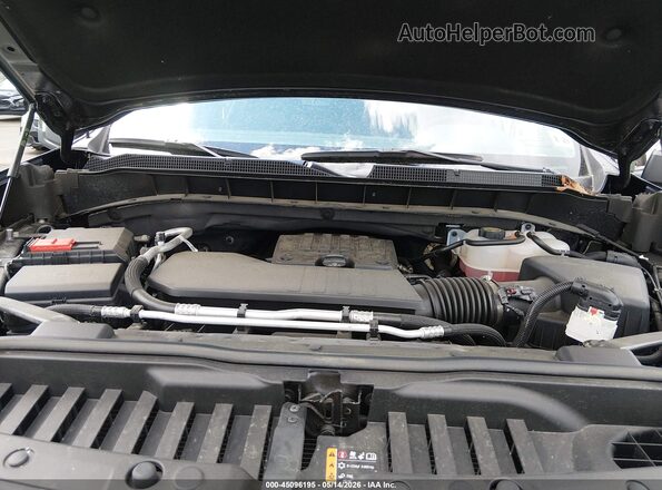 3GCPDKEK9RG343519 2024 CHEVROLET SILVERADO Blue უკანა ხედი