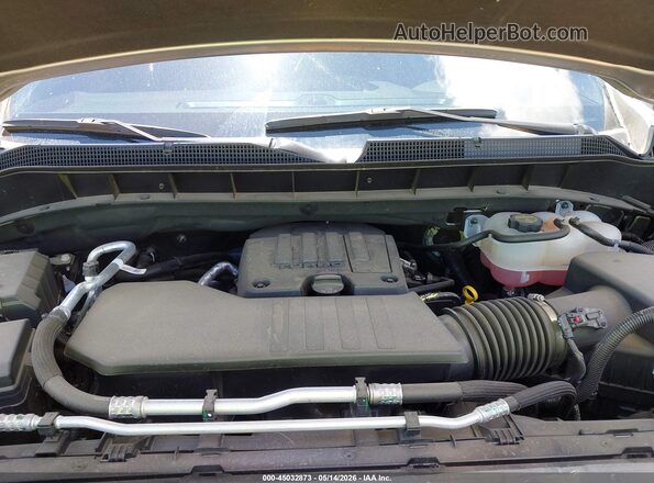 3GCPKBEK9SG347310 2025 CHEVROLET SILVERADO Gray Widok z tyłu