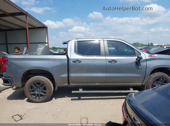 3GCPYCEK6NG109360 2022 CHEVROLET SILVERADO Gray Панорамний вид салону 360°