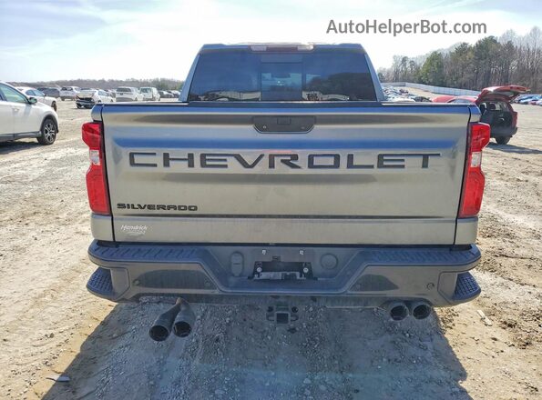 3GCPYFED2LG305537 2020 CHEVROLET SILVERADO Gray Vista trasera