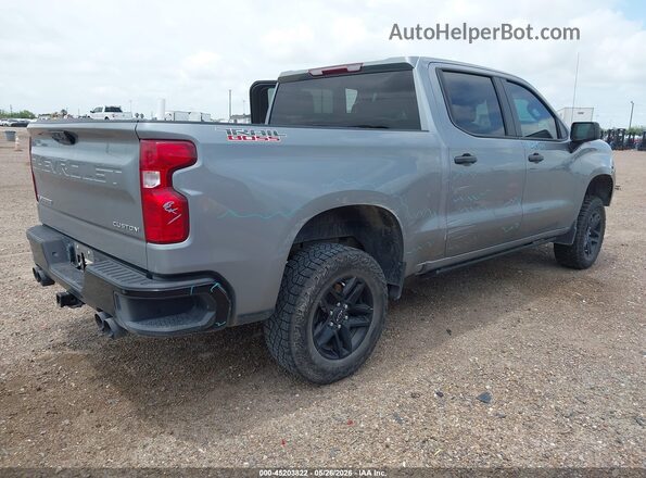 3GCUDCED8RG376893 2024 CHEVROLET SILVERADO Gray Задня права чверть