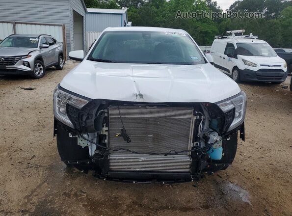 3GKALMEG3RL352163 2024 GMC TERRAIN White Widok z przodu