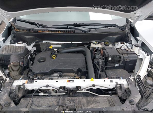 3GKALMEG8RL381271 2024 GMC TERRAIN White Widok z tyłu