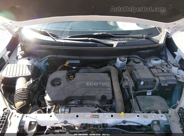 3GKALMEV5KL117350 2019 GMC TERRAIN Белый Вид сзади