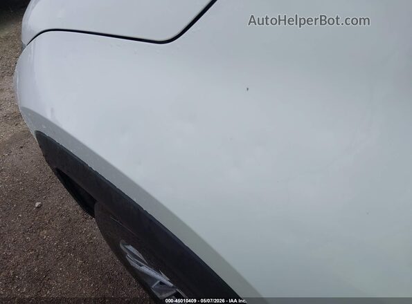 3GNAXHEG2SL318249 2025 CHEVROLET EQUINOX Белый 