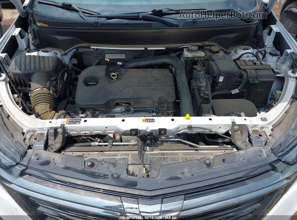 3GNAXHEG7PL167626 2023 CHEVROLET EQUINOX Белый Вид сзади