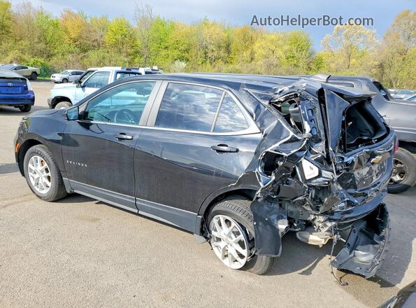 3GNAXJEG7PL256393 2023 CHEVROLET EQUINOX Черный 
