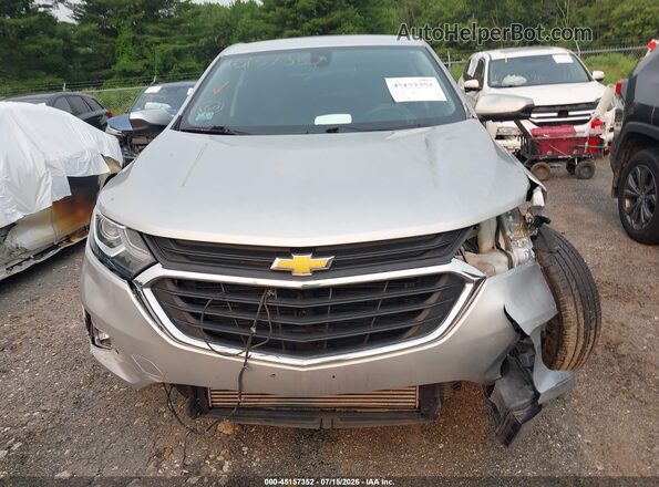 3GNAXJEV3LS653520 2020 CHEVROLET EQUINOX Silver Սալոնի հետևի տեսք