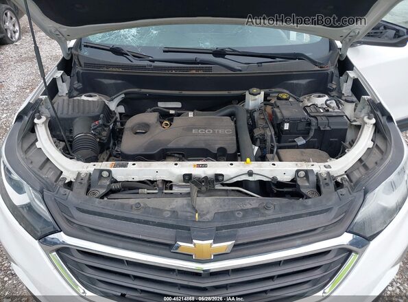3GNAXJEV5JS545882 2018 CHEVROLET EQUINOX White უკანა ხედი
