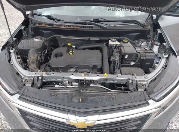 3GNAXUEG0PL250971 2023 CHEVROLET EQUINOX Gray უკანა ხედი