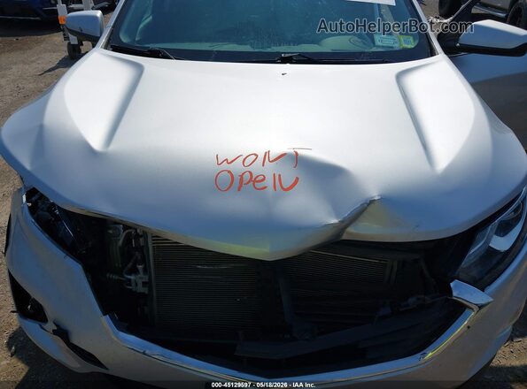 3GNAXUEV3KS597191 2019 CHEVROLET EQUINOX Серебряный Вид сзади