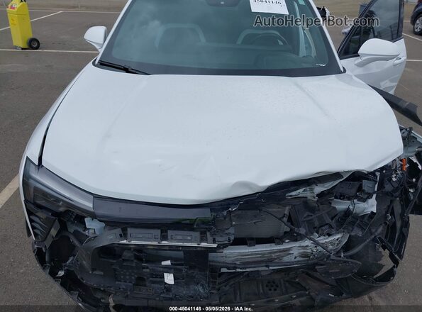 3GNKDBRJ0RS231532 2024 CHEVROLET OTHER White Widok z tyłu