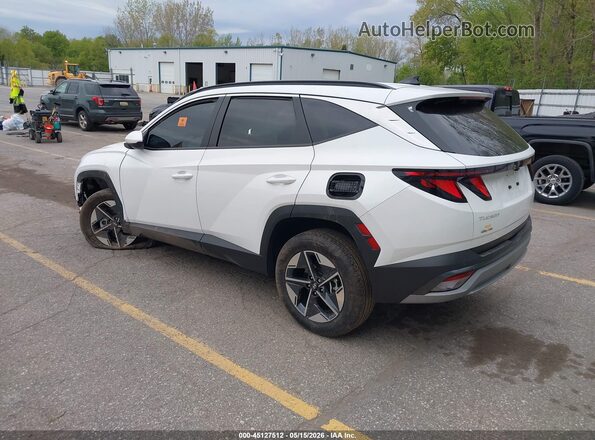 3KMJBCDE9SE005341 2025 HYUNDAI TUCSON Белый Задняя левая четверть