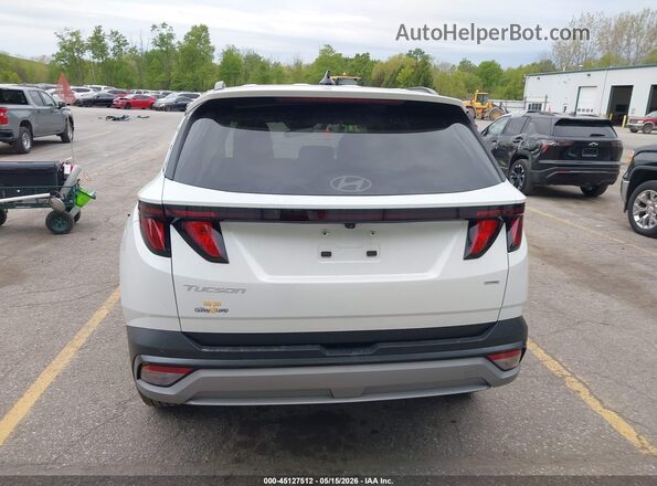 3KMJBCDE9SE005341 2025 HYUNDAI TUCSON Белый 