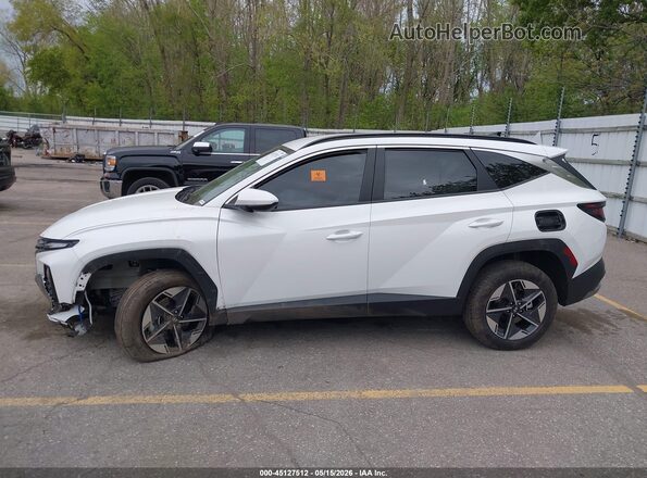 3KMJBCDE9SE005341 2025 HYUNDAI TUCSON Белый Панорамный вид салона 360°