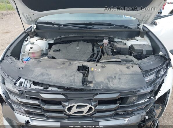 3KMJC3DE5SE010033 2025 HYUNDAI TUCSON White Widok z tyłu