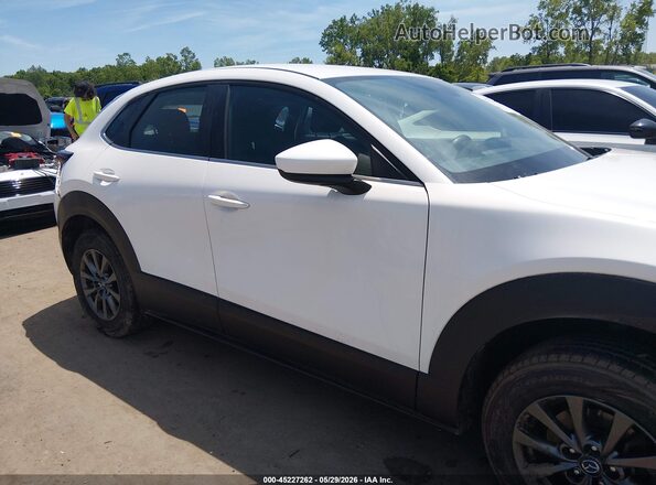 3MVDMBAL8MM206162 2021 MAZDA CX-30 White Սալոնի հետևի տեսք