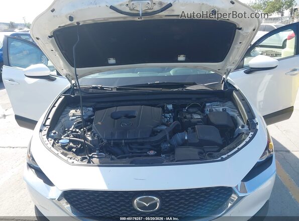3MVDMBAM4PM551167 2023 MAZDA CX-30 Белый Вид сзади