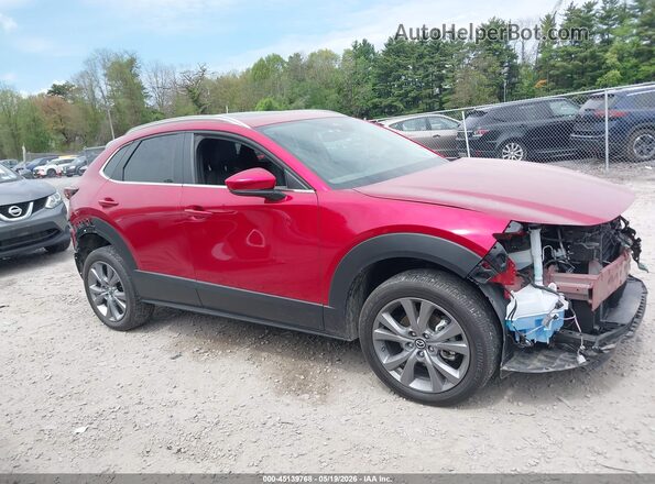3MVDMBCM5SM793830 2025 MAZDA CX-30 Red უკანა სალონის ხედი