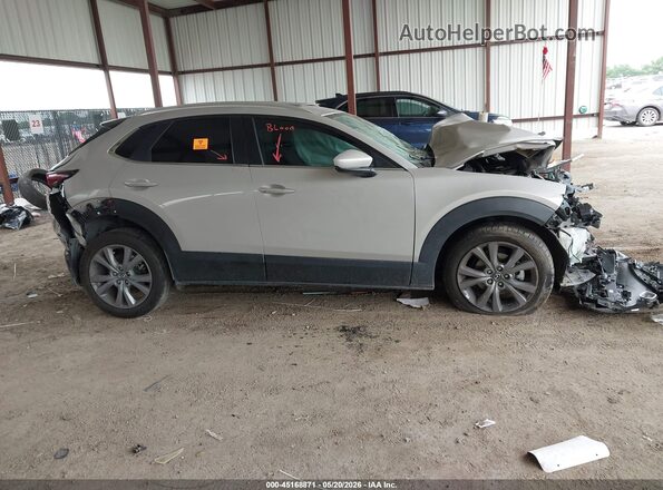 3MVDMBCM7RM695778 2024 MAZDA CX-30 Champagne Widok wnętrza z tyłu