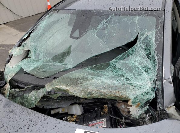 3N1CN8EV7SL870192 2025 NISSAN VERSA Серый Панорамный вид салона 360°