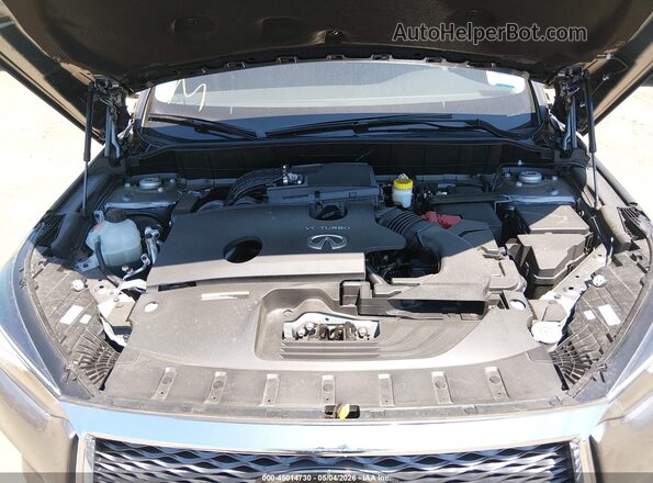3PCAJ5AB8SF116467 2025 INFINITI QX50 Серый Вид сзади