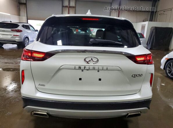 3PCAJ5BB3RF105398 2024 INFINITI QX50 White Вид ззаду