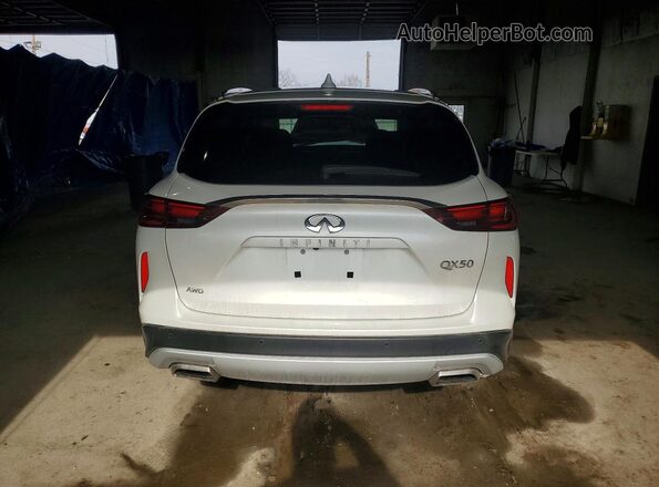 3PCAJ5BB3RF107166 2024 INFINITI QX50 White 