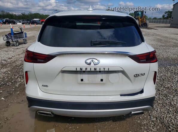 3PCAJ5BB7PF110908 2023 INFINITI QX50 White უკანა ხედი