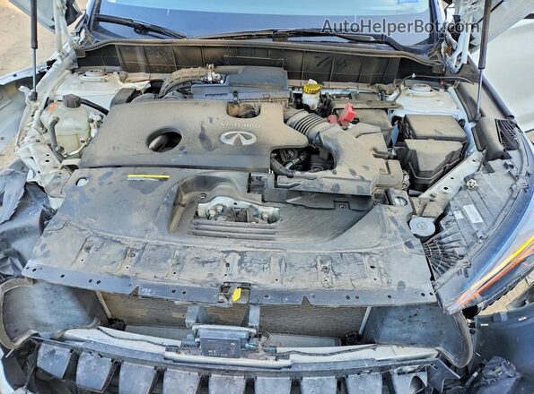 3PCAJ5BB8PF106303 2023 INFINITI QX50 Белый 