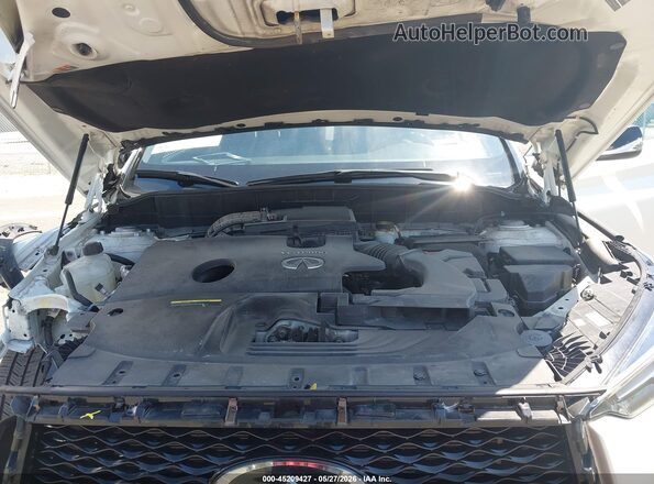 3PCAJ5BB9MF101087 2021 INFINITI QX50 Белый Вид сзади
