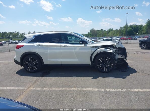 3PCAJ5BB9MF101087 2021 INFINITI QX50 Белый Вид задней части салона