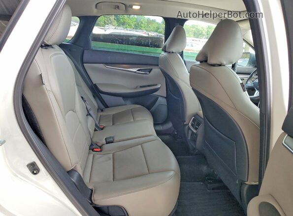 3PCAJ5BB9PF114572 2023 INFINITI QX50 White Вид задніх сидінь