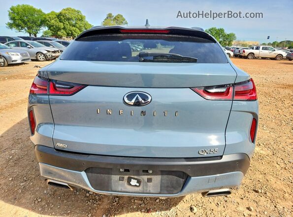 3PCAJ5LR1PF103528 2023 INFINITI QX55 Blue Vista trasera