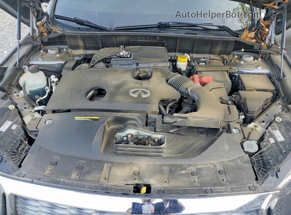 3PCAJ5LR1RF101328 2024 INFINITI QX55 Gray Սալոնի հետևի տեսք