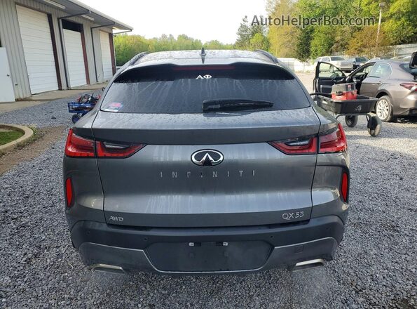 3PCAJ5LR1RF101328 2024 INFINITI QX55 Gray Հետևի տեսք